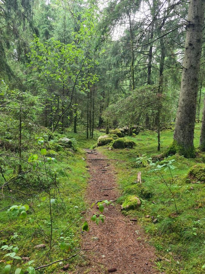 Stuga I Naturen Simlångsdalen Exterior foto